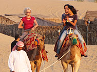 Dubai City Tours
