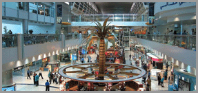 Dubai Quadbike, Best Tours In Dubai