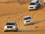 Camel Safari In Dubai