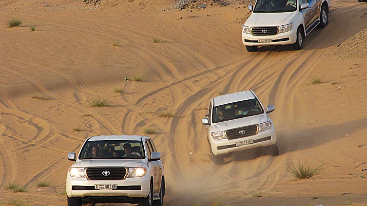 Dubai Desert Safari Tour