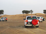 Camel Safari In Dubai Camel Safari In Dubai