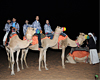 Camel Safari In Dubai