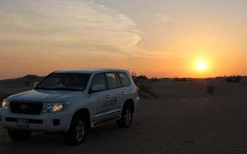 Evening Desert Safari tour with Bbq Dinner and live shows