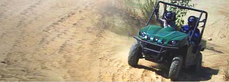 Dune Buggy Safari - Morning