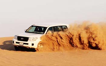 Evening Desert Safari