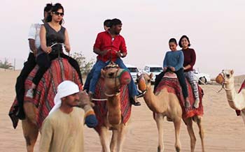 Camel Desert Safari