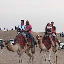 Camel Ride in The Desert at Dubai