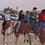 Camel Safari Tour